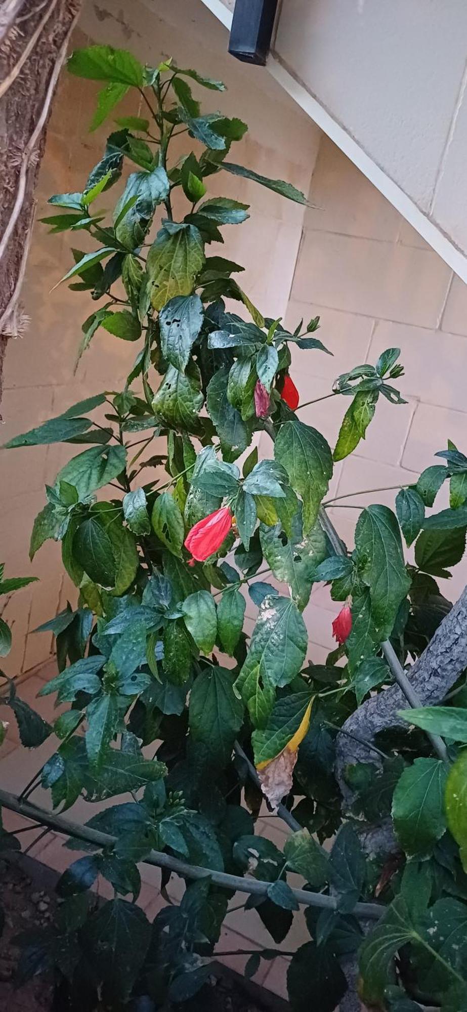 The Roof Garden Maisonette Marsaskala Εξωτερικό φωτογραφία